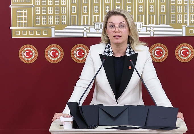 Türkiye Kadına Şiddette Yüzde 38 İle OECD Ülkeleri Arasında Birinci