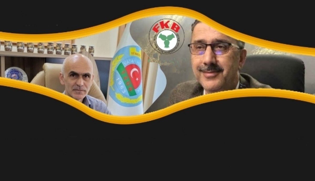 FINDIKTA HAVA ISINDI 