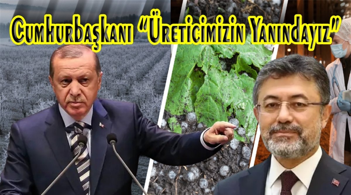 Tarım Sigortasında Büyük Ödeme