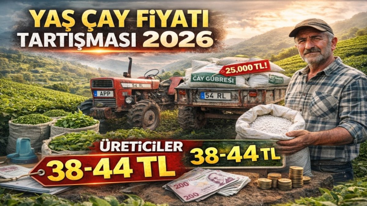 2026 Yaş Çay Fiyatı Gündemde