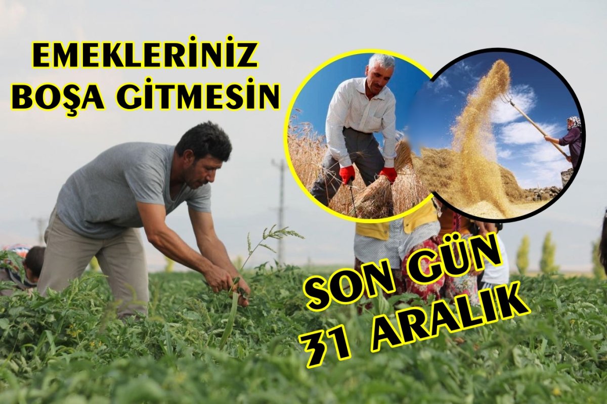 ÇİFTÇİLERE KRİTİK UYARI !