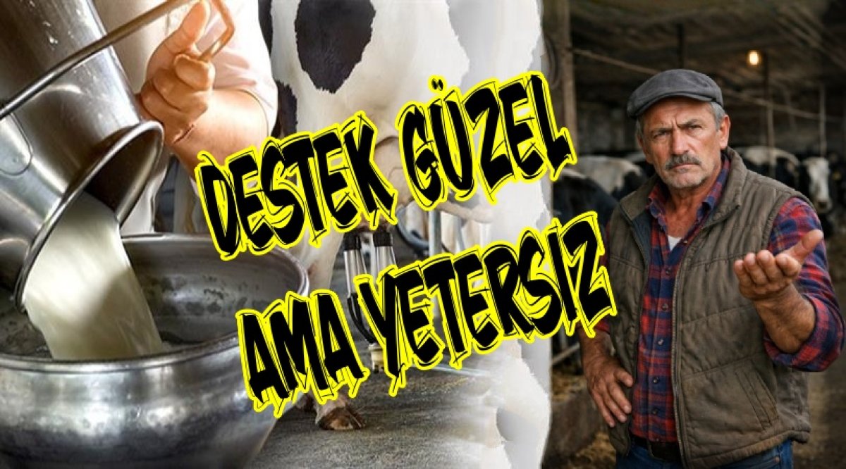 DESTEK İYİ AMA YETERLİ DEĞİL 