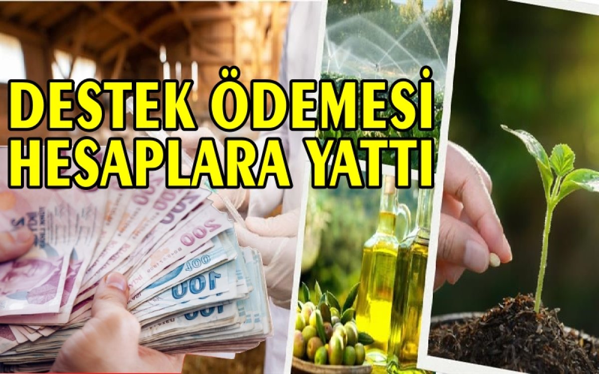 Müjdeyi Bakan Yumaklı Duyurdu