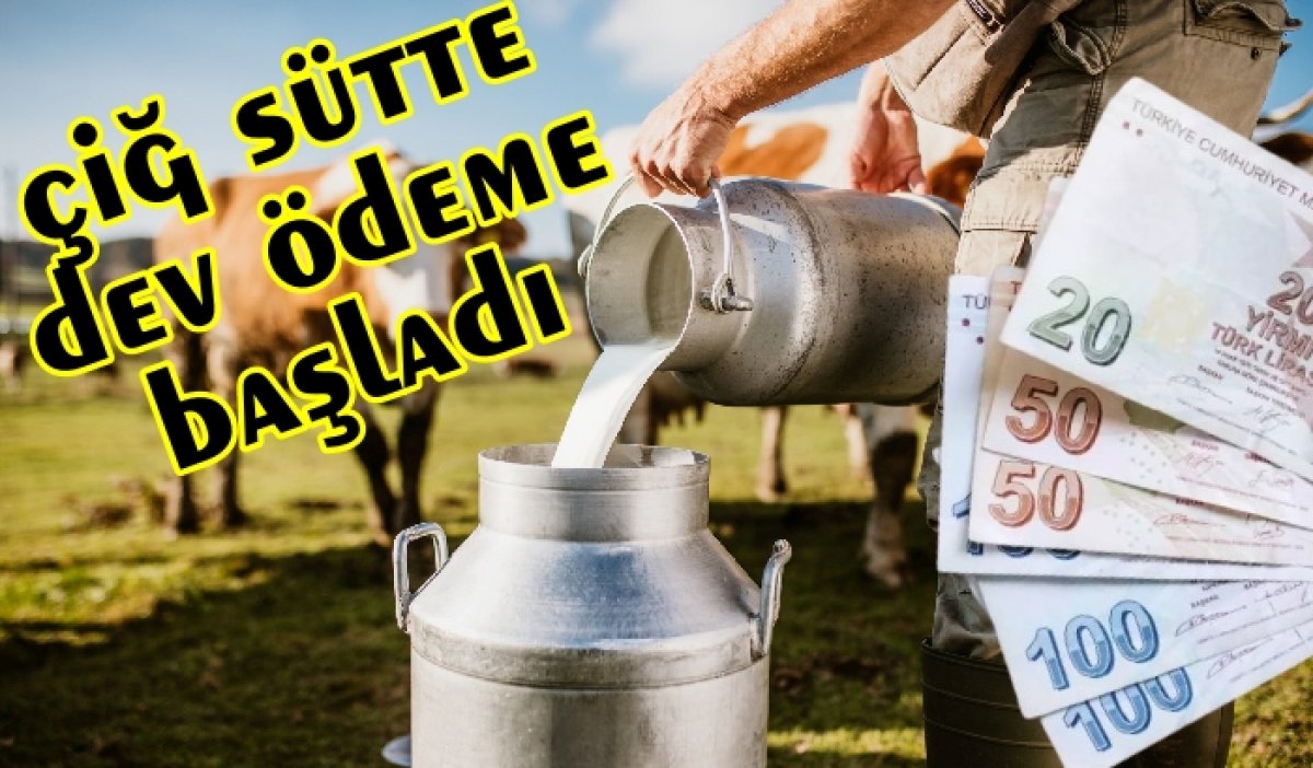 Üreticinin Yüzü Güldü! Milyonlarca Liralık Çiğ Süt Destekleme Ödemesi Yapılıyor