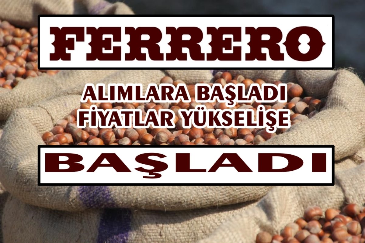FERRERO SAHAYA İNDİ 
