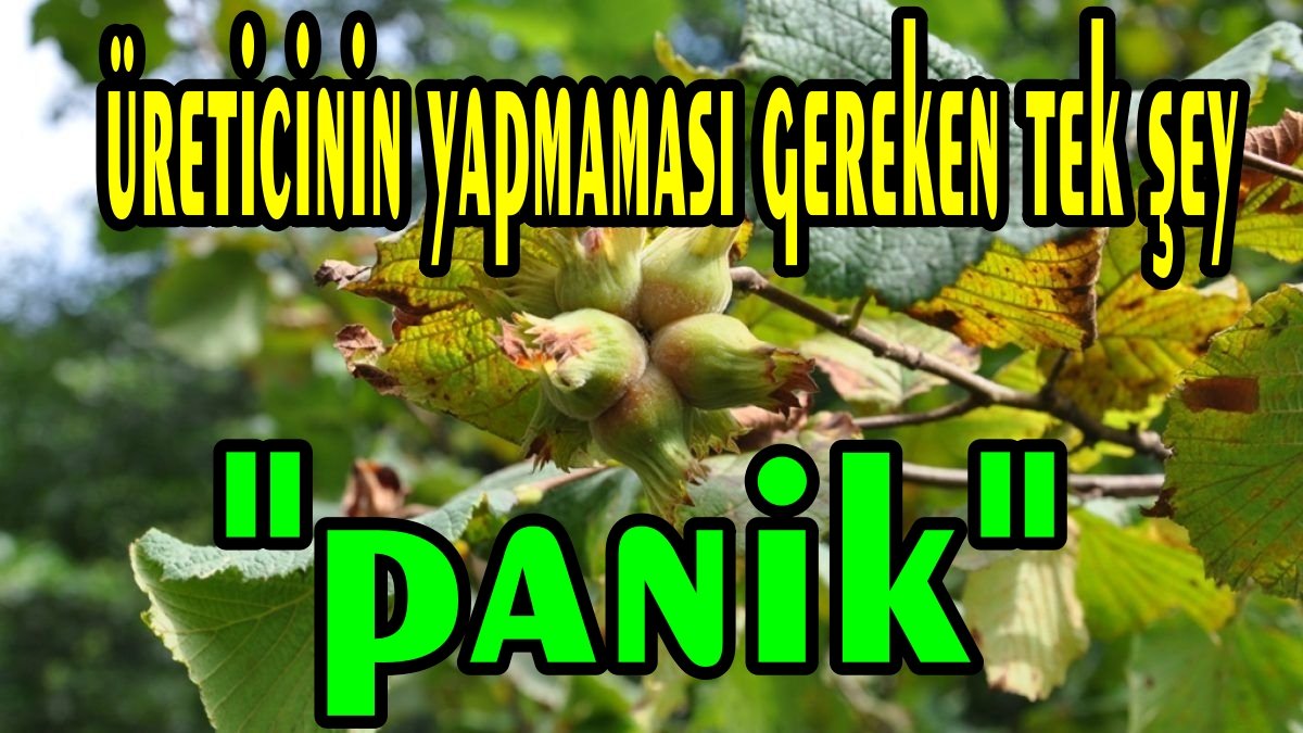 Üretici Paniğe Sürükleniyor