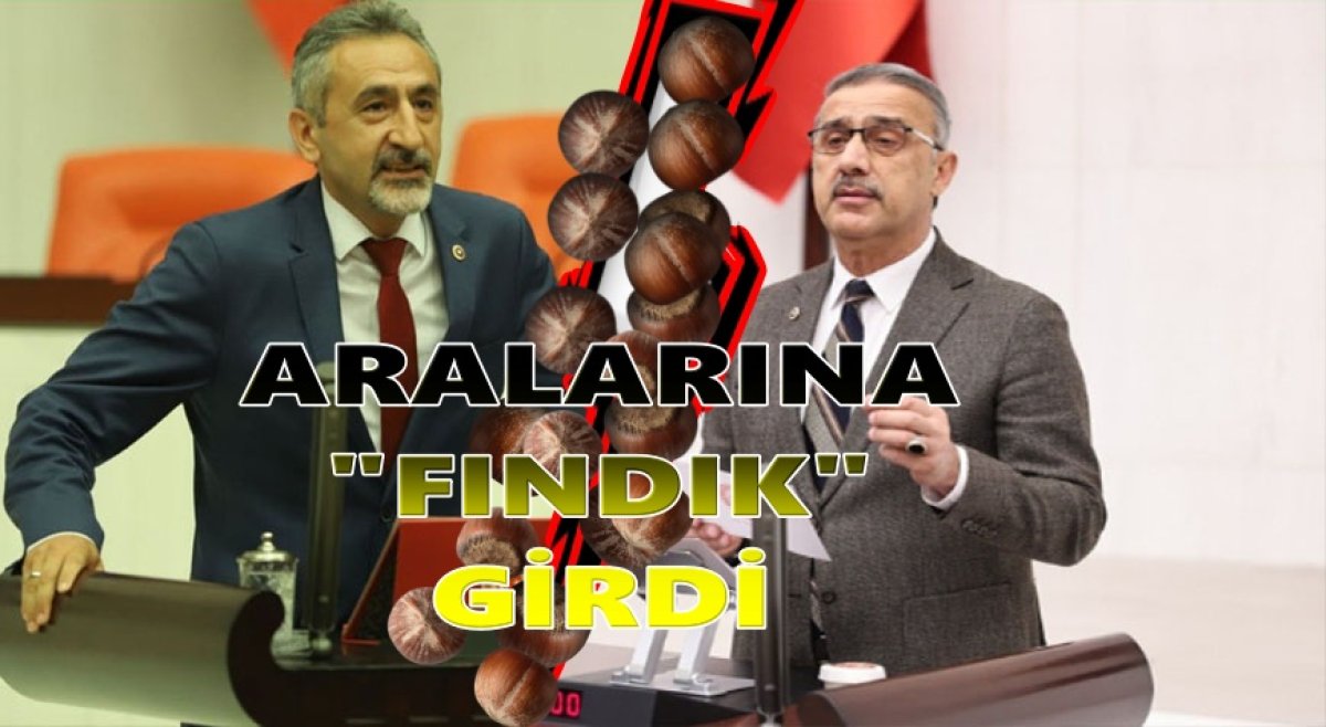 Fındık Gündemi Isınmaya Devam Ediyor