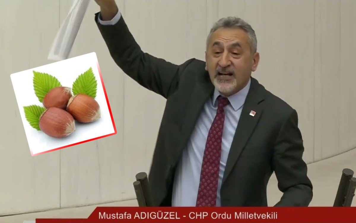 Mustafa Adıgüzel’den Fındık Üreticileri İçin Acil Çağrı: “Üretici Gelecek Sezona Çıkamayacak!”