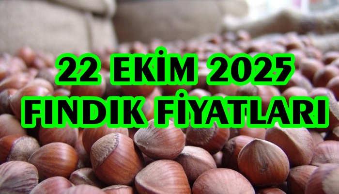 22 EKİM 2025 GÜNCEL FINDIK FİYATLARI