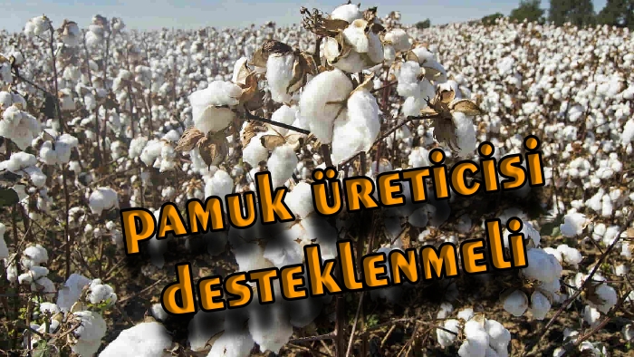Milletvekili Nermin Yıldırım Kara: 