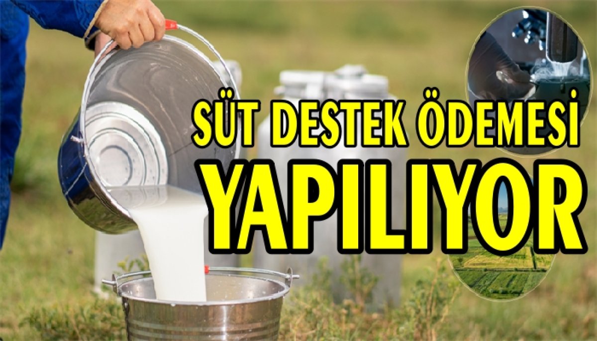 SÜT DESTEK ÖDEMESİ YAPILIYOR 