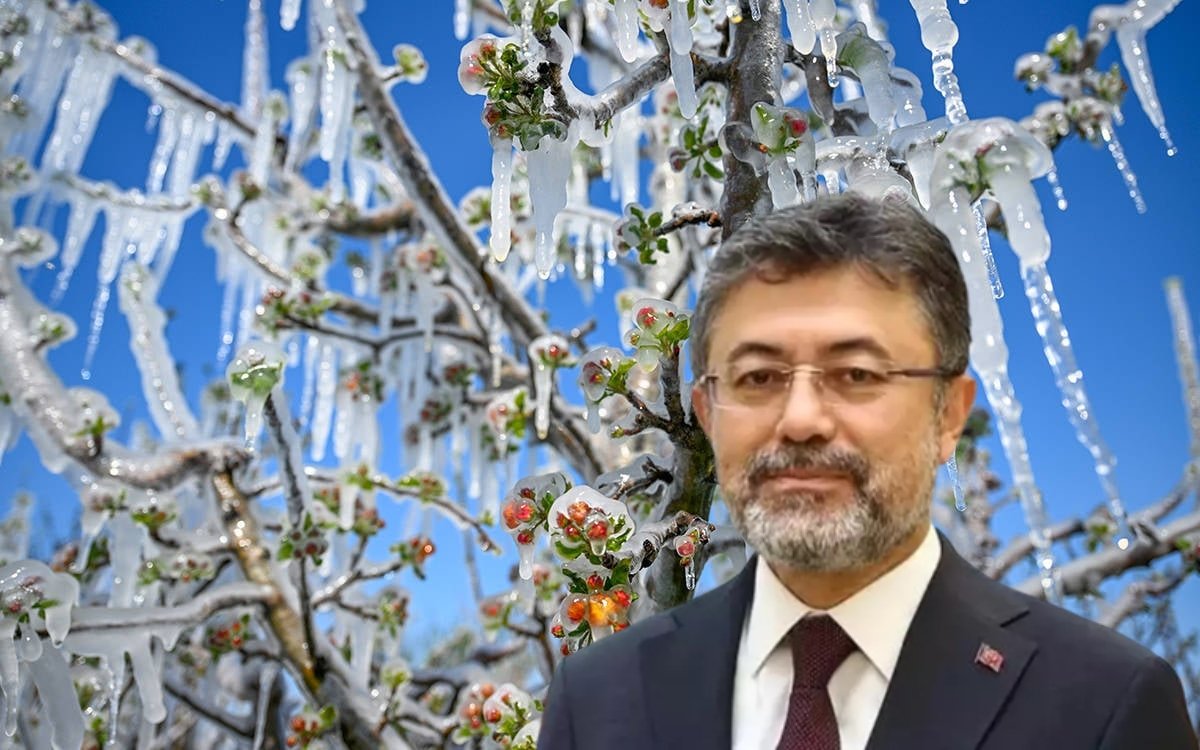 Ürününe Don Vuran Çiftçiye Dev Destek Yağmuru!