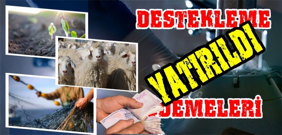 DESTEK ÖDEMESİ HESAPLARDA 