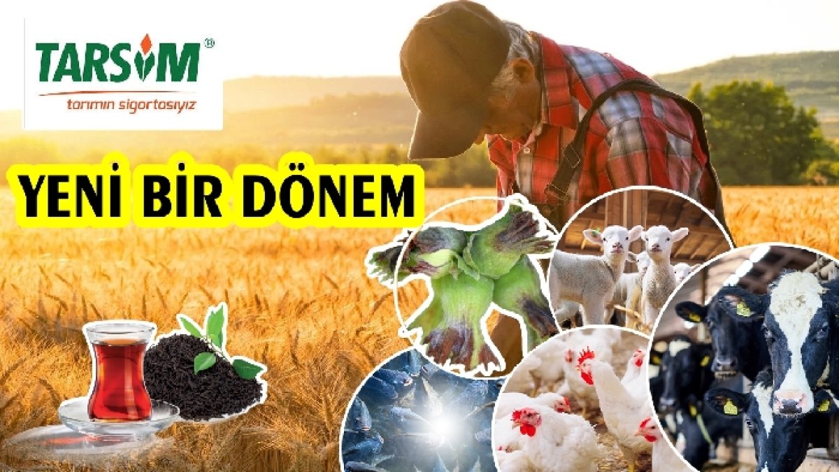TARIM SİGORTASINDA YENİ BİR DÖNEM BAŞLIYOR 