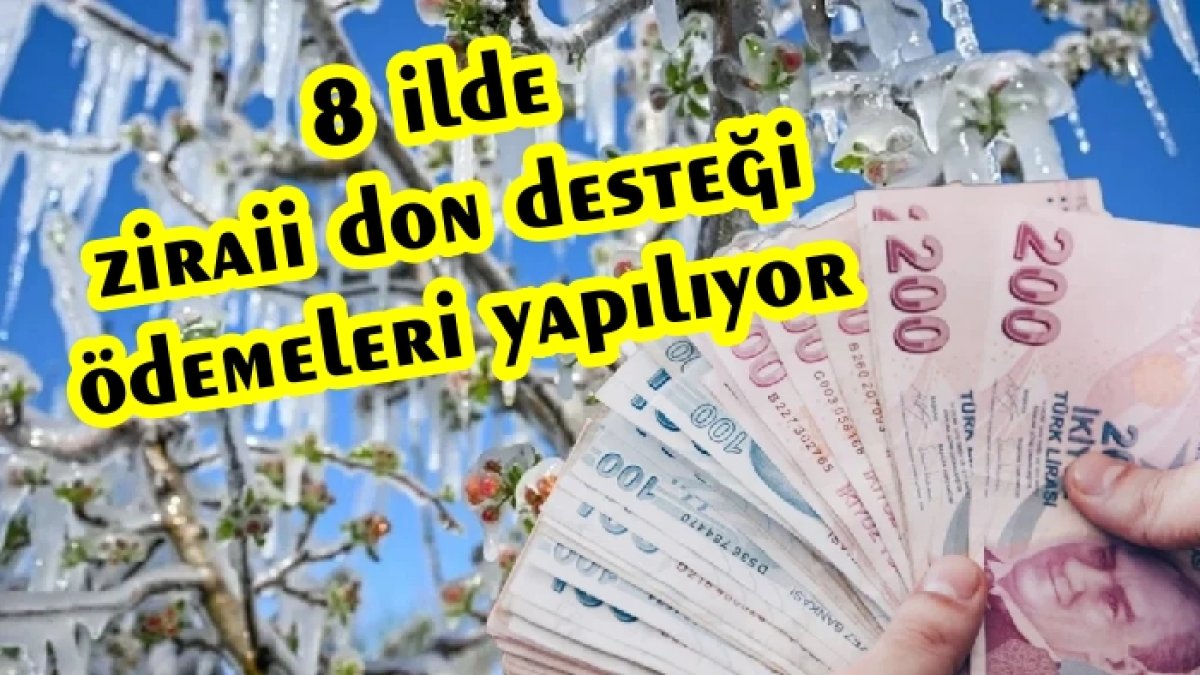 8 İlde 14 Bin Çiftçiye Zirai Don Desteği Ödemesi Yapılıyor