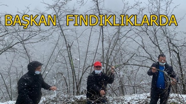 Meclis Başkanı Arslantürk:Yağan Kar,Fındıklıklara Olumsuz Değil Olumlu Etki Yapacak