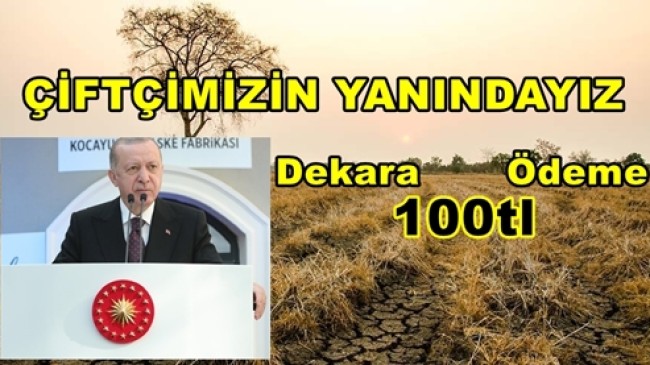 Cumhurbaşkanı Erdoğan Çiftçiye Müjdeyi Zonduldak’tan Verdi