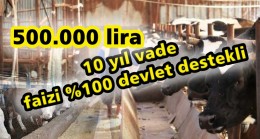 500 Bin Liraya Kadar Faizsiz Hayvancılık Kredisi!
