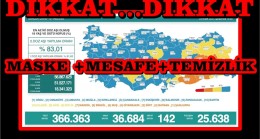 29 Aralık Türkiye’de Koronavirüs Tablosu