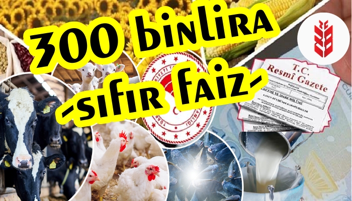 300 BİN LİRAYA % 0  FAİZ