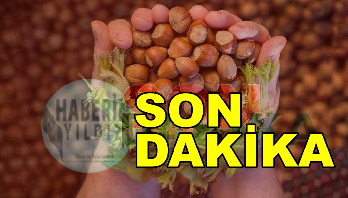 FINDIKTA SON DAKİKA GELİŞMELERİ MEMNUNLUK YARATTI