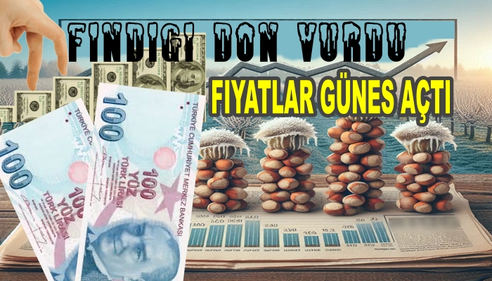 FINDIK FİYATLARINDAKİ ARTIŞ ALTINLA YARIŞIYOR