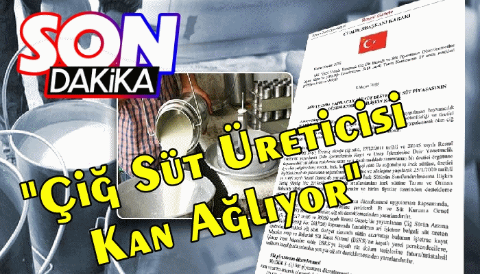 HER LİTRE SÜTTE ÜRETİCİ BİRAZ DAHA ZARAR EDİYOR