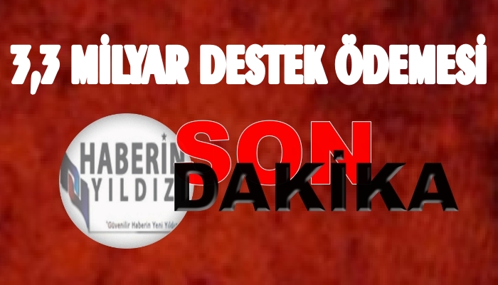 3,3 MİLYARLIK DESTEK ÖDEMESİNİ KİMLER ALACAK ?