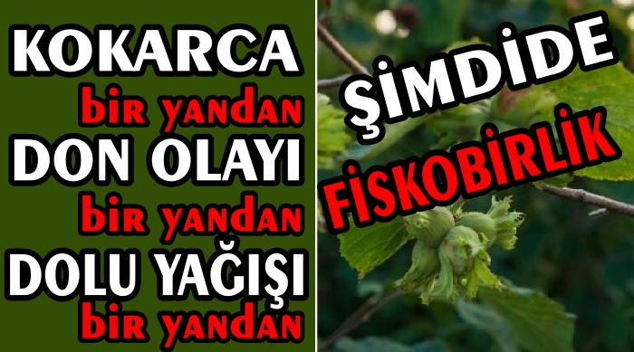 FINDIK ÜRETİCİSİ SORUYOR “SESİMİZİ DUYAN VAR MI ?”