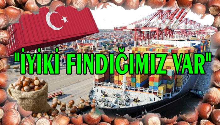 FINDIK YÜZ GÜLDÜRMEYE DEVAM EDİYOR