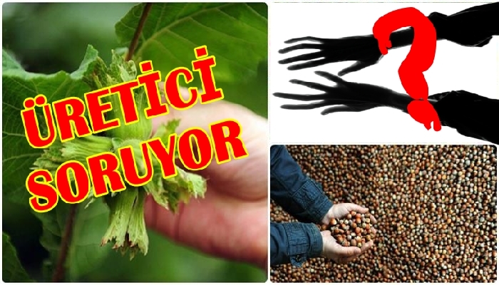 BİRİLERİ İSTEMİYOR !