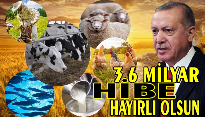 HİBE RAKAMI TAMI TAMINA 3,6 MİLYAR LİRA