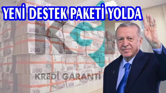 CUMHURBAŞKANI KOBİLERE MÜJDEYİ UÇAKTA VERDİ !