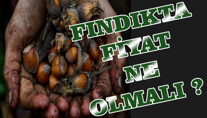 FINDIKTA TABAN FİYAT NE OLMALI ?