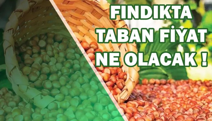 TABAN FİYAT NE OLACAK ?