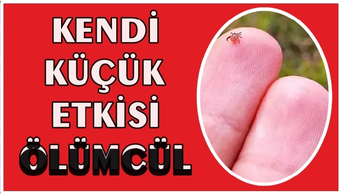 CAN ALIYOR !