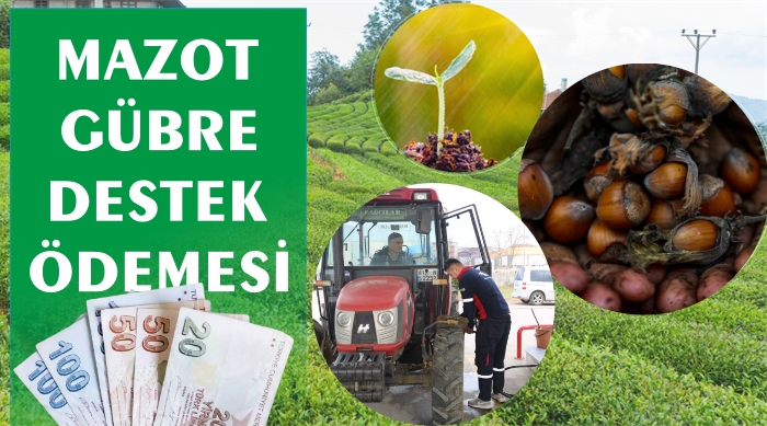 MAZOT VE GÜBRE DESTEK ÖDEMELERİ YAPILIYOR