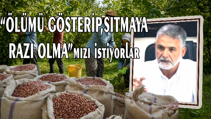TMO’ya Sert Tepki: “Ölümü Gösterip Sıtmaya Razı Etmek Bu Olsa Gerek!”