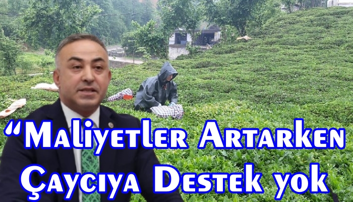 MEHMET TAHTASIZ ; ÇAY ÜRETİCİSİNE DESTEK YOK !