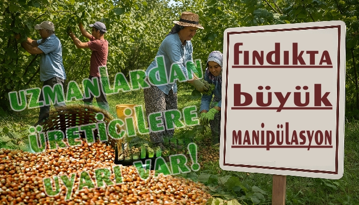 FINDIKTA KÜRESEL BASKI OLUŞTURULUYOR
