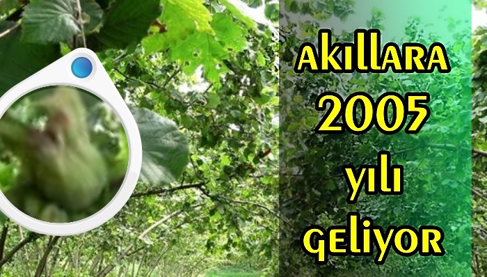 FİYATI DEĞİL REKOLTEYİ BEKLİYORLAR