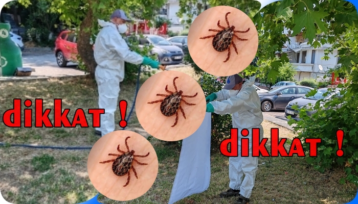 KENELERLE AKTİF MÜCADELE