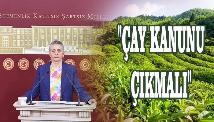 SUİÇMEZ; ÜRETİCİNİN EMEĞİNİ DEĞERSİZLEŞTİRMEYİN