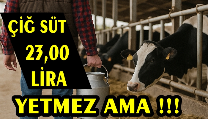 YETMEZ AMA  !