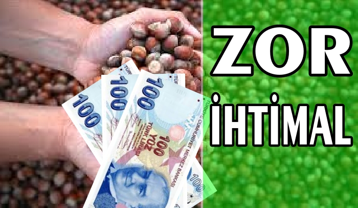 UZMANLAR 300 TL FINDIKTA UZAK İHTİMAL DİYORLAR !