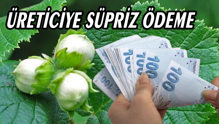 FINDIK ÜRETİCİSİNE SÜPRİZ ÖDEME