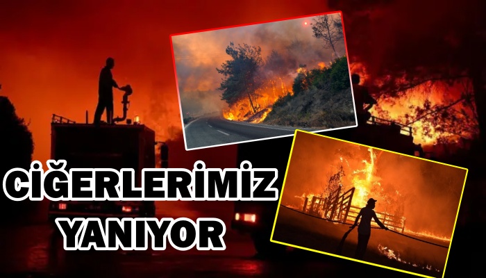 TÜRKİYE ORMAN YANGINLARI İLE SAVAŞIYOR