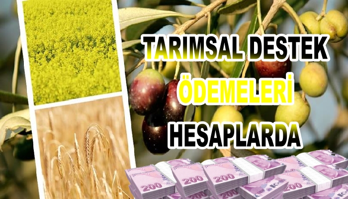 HESAPLARA ÖDEMELER YAPILDI