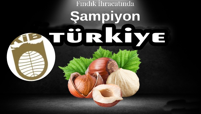 Türkiye’den Dünyaya Binlerce Ton Fındık