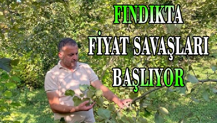 FINDIKTA SÖZ SAHİBİ ÜRETİCİ OLACAK !